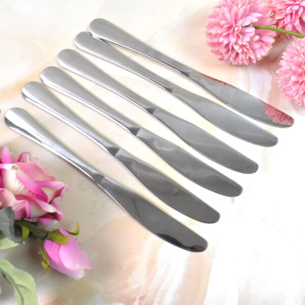Premium Silver Daily Use Cutlery Set Stainless Steel Luxury Combo Set of 24 - Image 7