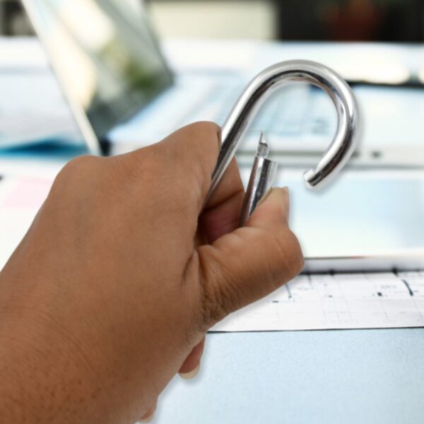Stainless Steel Snap Hook (8×80 MM / 1 Pc) - Image 3