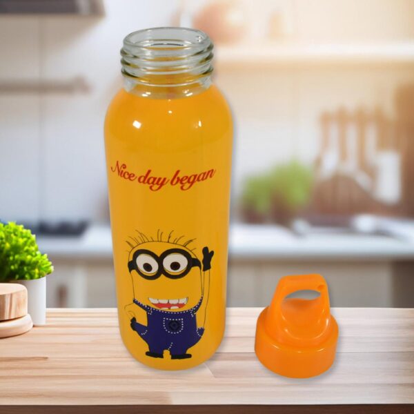 PORTABLE GLASS WATER BOTTLE, CREATIVE GLASS BOTTLE WITH GLASS WATER ( Mix Design) - Image 3