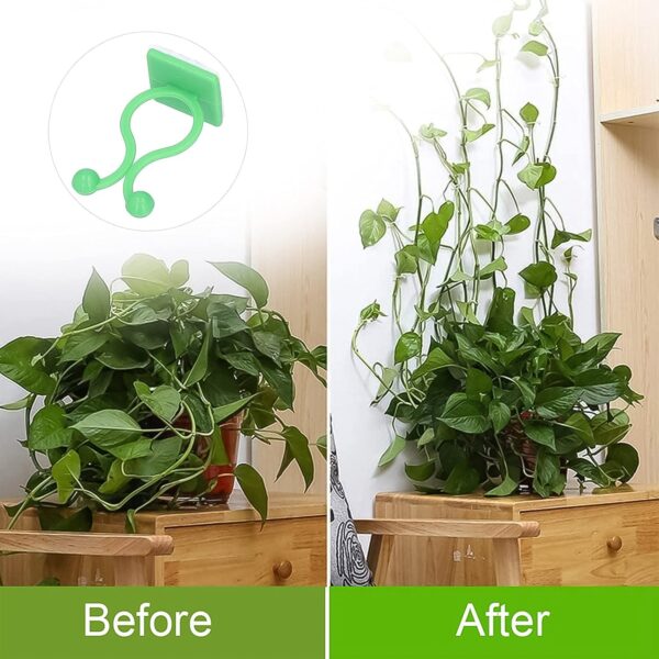 Plant Climbing Wall Fixture Clip Self-Adhesive Hook (100 Pcs Set) - Image 4