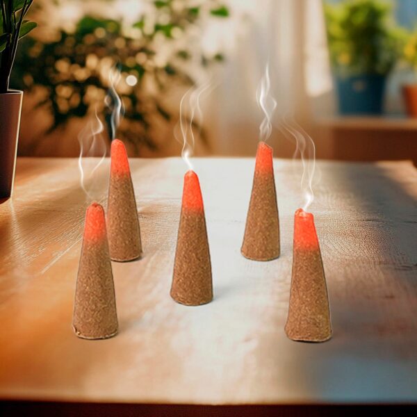 Mix Flavour Dhoop Cones, Premium Dhoop (120 GM/ Mix/ 1pc) - Image 6