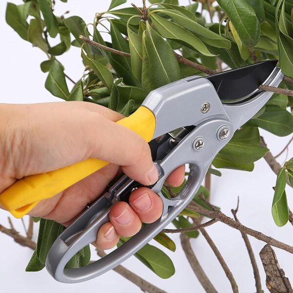 Gardening Shears, Enhanced Garden Shears Pruning Machine (200 MM / 1 Pc) - Image 3