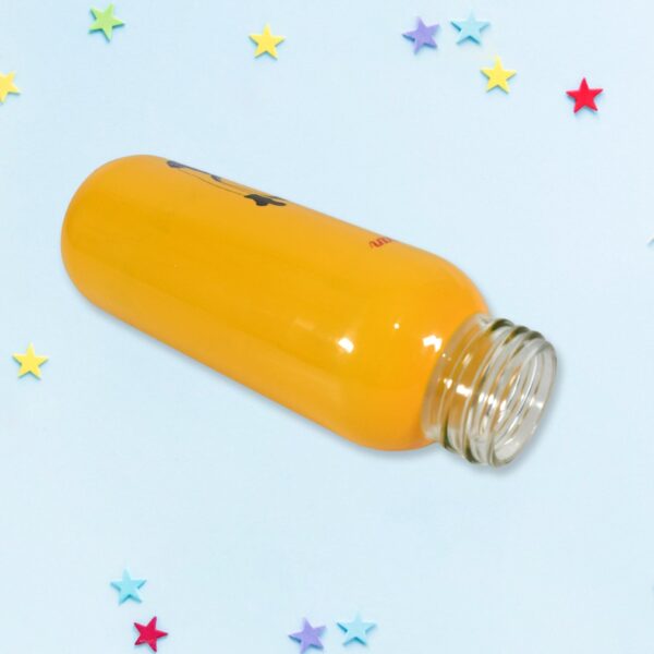 PORTABLE GLASS WATER BOTTLE, CREATIVE GLASS BOTTLE WITH GLASS WATER ( Mix Design) - Image 5
