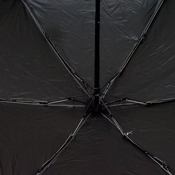 5 Fold Manual Open Umbrella With Capsule Case (1 Pc) - Image 4