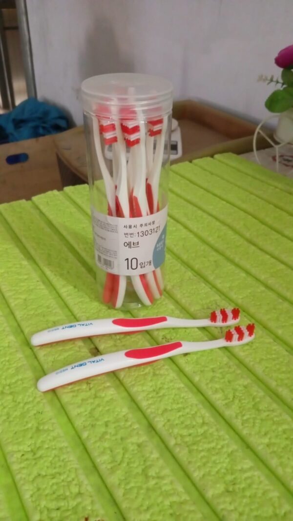 Soft Toothbrush With Plastic Round Box for Men and Women, Kids, Adults Plastic Toothbrush (10 pcs Set) - Image 7