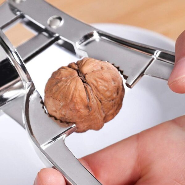 2 in1 Garlic Masher Premium Garlic Press & Walnut Cracker Opener (1 Pc) - Image 6