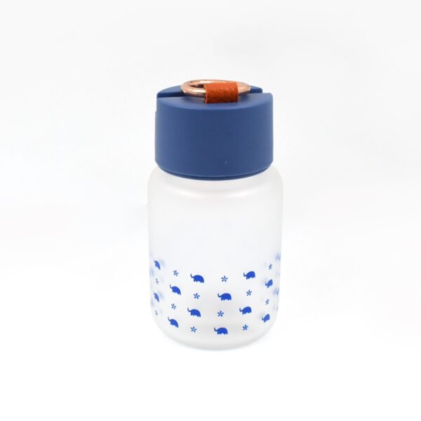 Outdoor Sport Glass water bottle (300 ML Approx / Mix Color / Design) - Image 3