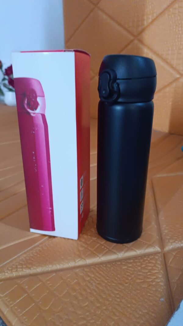 Water Bottle for Kids – Insulated Stainless Steel Bottle (500 ML / Mix Color) - Image 9