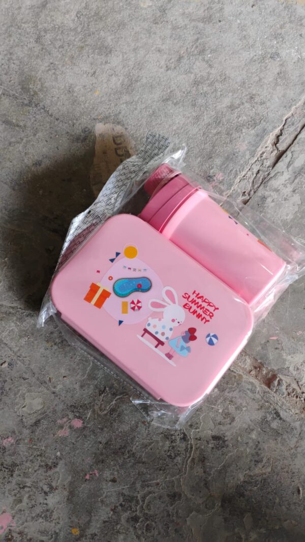 Plastic Lunch Box Leak Proof 2 Compartment with Bottle and Fork (1 Set / Mix Color) - Image 8