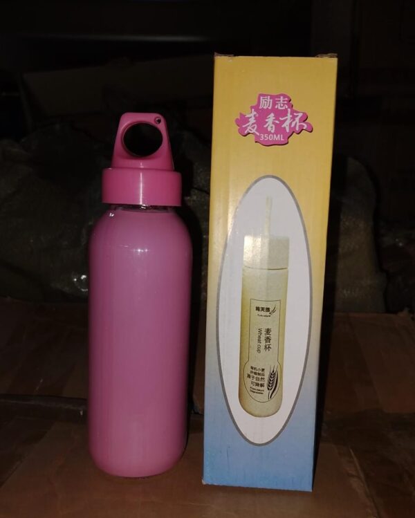 PORTABLE GLASS WATER BOTTLE, CREATIVE GLASS BOTTLE WITH GLASS WATER ( Mix Design) - Image 7