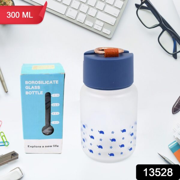 Outdoor Sport Glass water bottle (300 ML Approx / Mix Color / Design) - Image 2