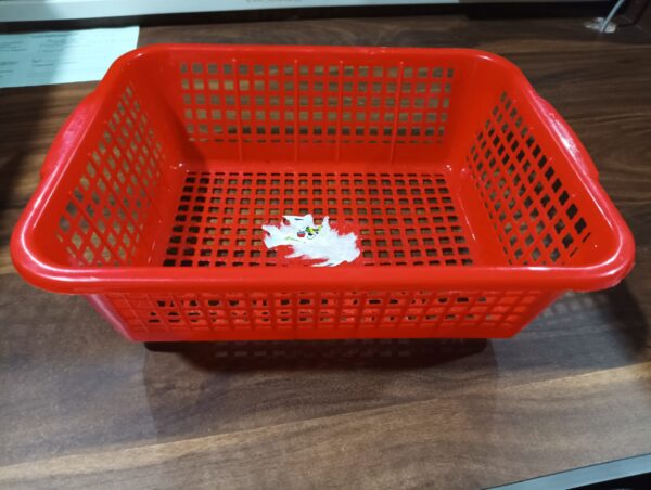 Plastic Kitchen Medium Size Vegetables and Fruits Washing Basket Dish Rack Multipurpose Organizers - Image 6