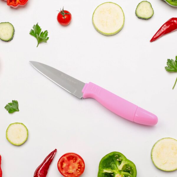 Sharp Fruit Knife (Stainless Steel, Comfortable Grip): 1 Pc - Image 7