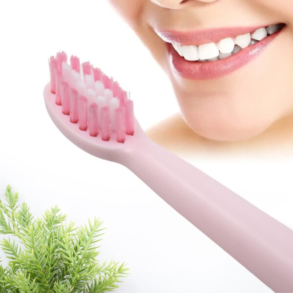 Electric Toothbrush for Kids and Adults Travel Portable Toothbrush With Extra 1 Brush Heads With 1 Battery - Image 4
