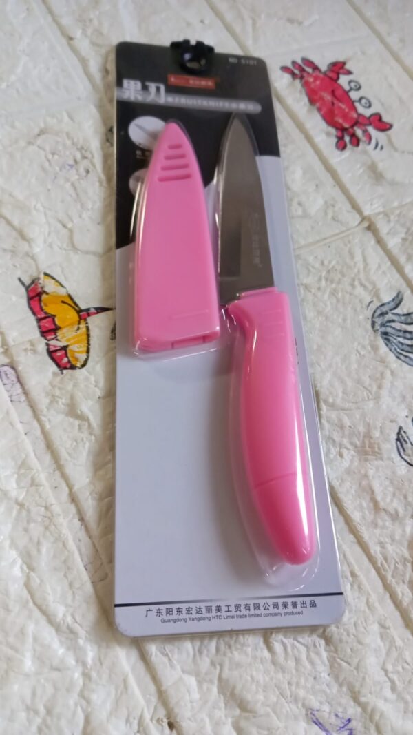 Sharp Fruit Knife (Stainless Steel, Comfortable Grip): 1 Pc - Image 8